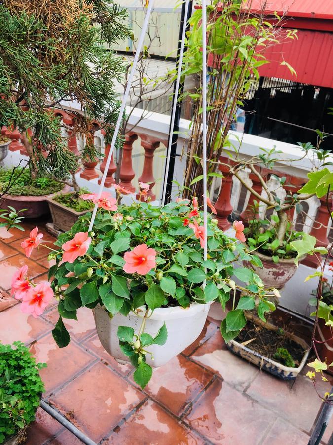האנוי Lee'S Family Homestay מראה חיצוני תמונה