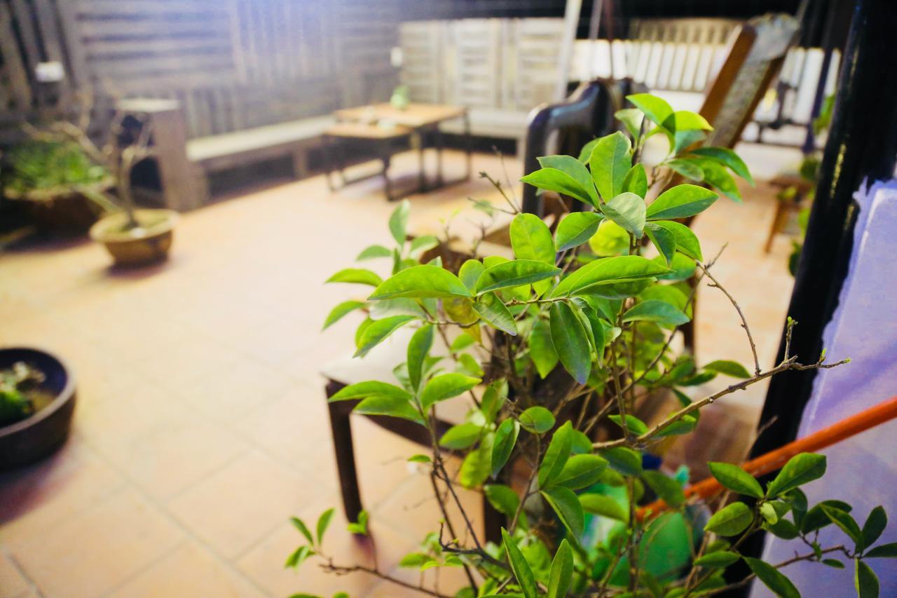 האנוי Lee'S Family Homestay מראה חיצוני תמונה